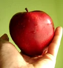 Apple in Palm - A Symbol of Lifestyle Transformation