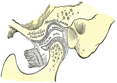 Temporomandibular
