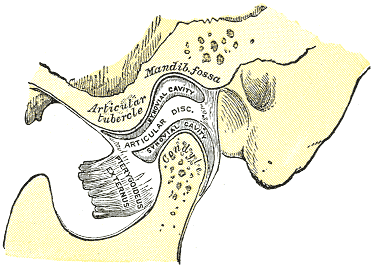 A photo of Temporomandibular Joint