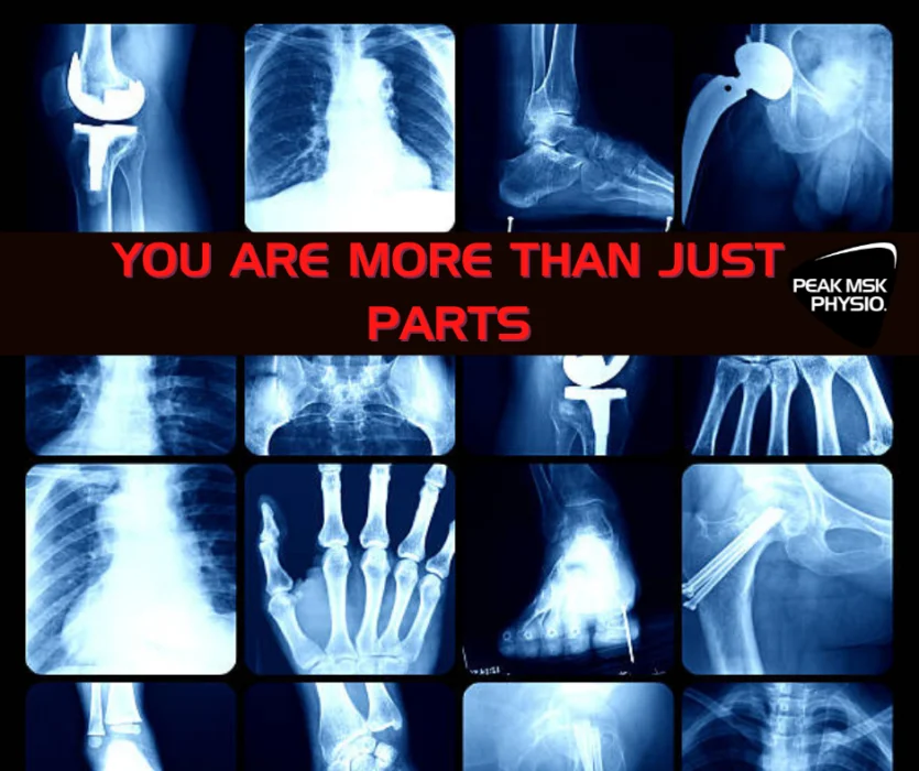 you are more than just parts
