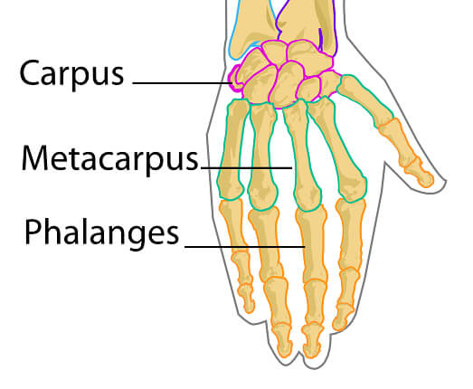 hand finger injuries