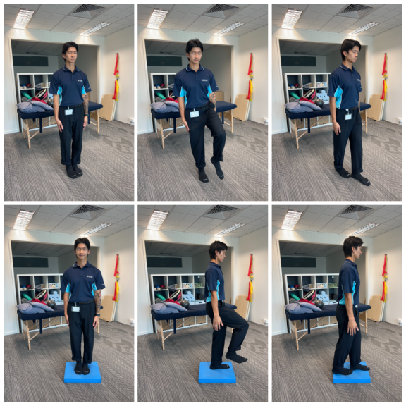 Balance concussion assessment